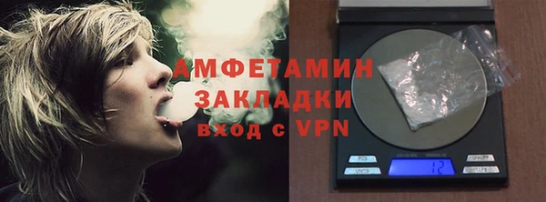 прущие грибы Заволжск