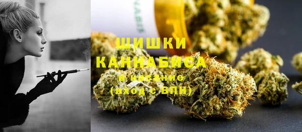 прущие грибы Заволжск